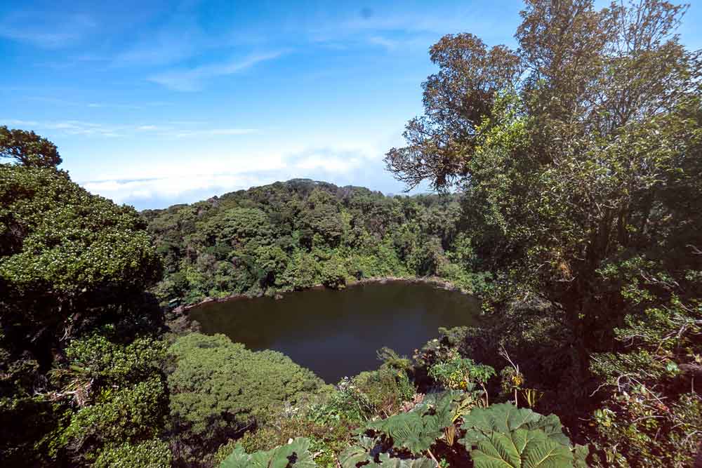 An aerial view of a lake surrounded by trees.